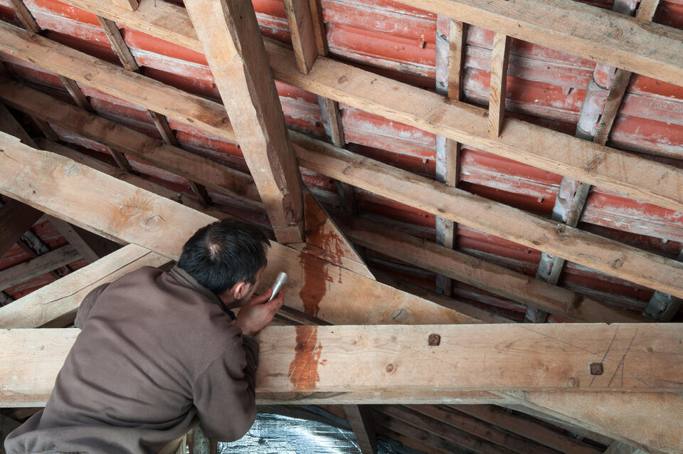 roof leak repair-man discovers leak in attic rafters