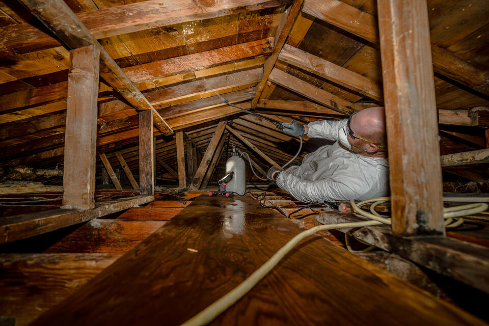 roof ventilation-mold remediation happening in an attic because of improper attic ventilation