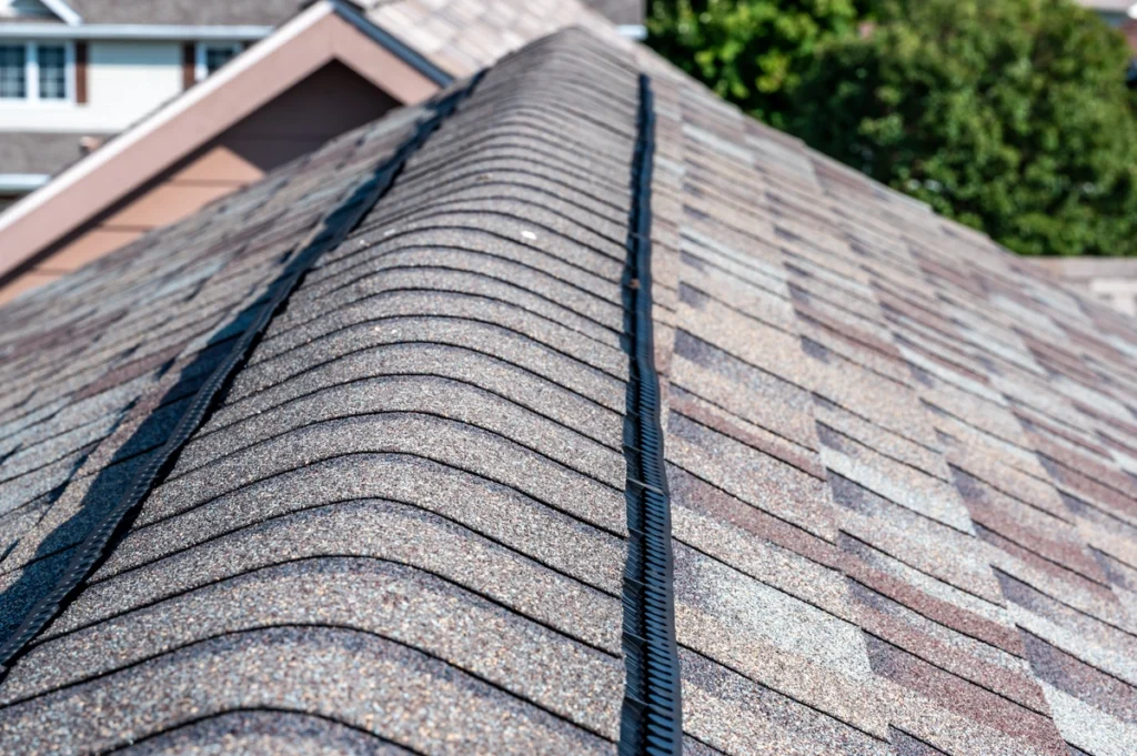 shingles on roof wearing down
