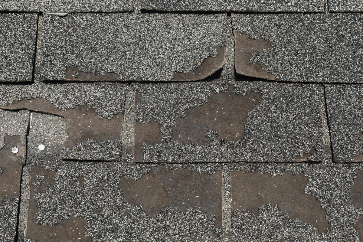 worn down shingles granule