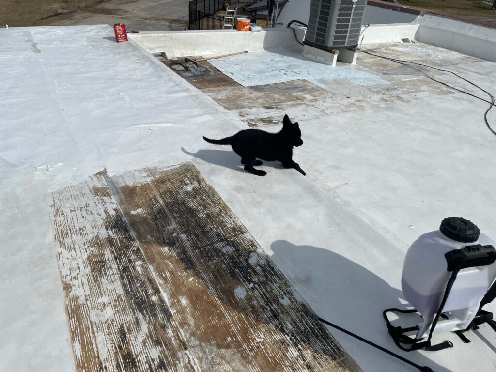 White commercial roof coating applied during a flat roof restoration in Florida