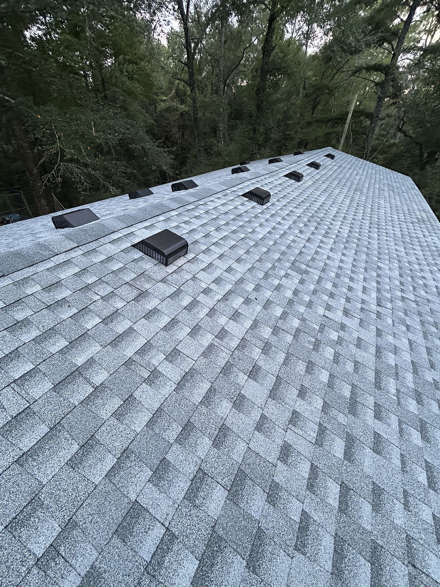 Birchwood GAF Timberline HDZ architectural shingle roof installed on a home in Crawfordville, Florida