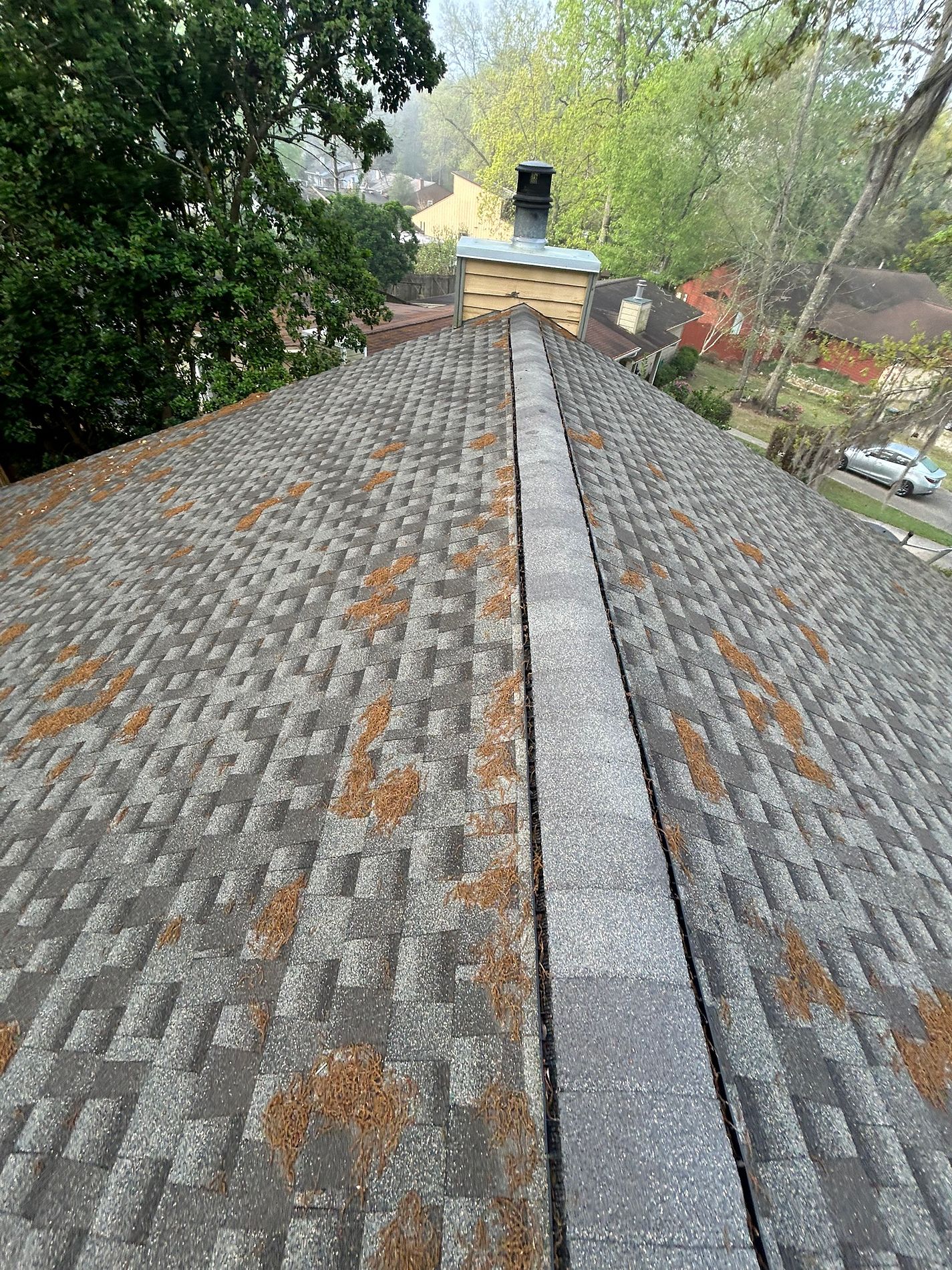Weathered Wood GAF Timberline HDZ architectural shingle roof installed on a property in Monticello, Florida
